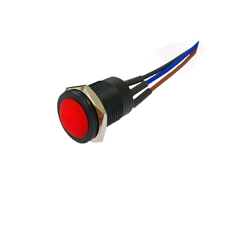 Wintai-Tech bouton de poussée bouton de cor 12v bouton de poussée bouton de démarrage 12mm bouton de poussée momentanée Commutateur avec assemblage de câble