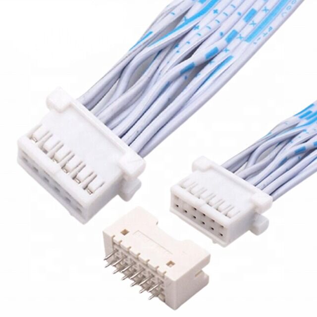 Faisceau de câbles sur mesure JST à ruban plat avec pas de 2,54 mm 12 broches double rangée pour applications électroniques