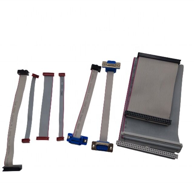 D-SUB DB9 à IDC Assemblage de câble à ruban plat avec connecteur plaqué or et pas de 2,54 mm pour des applications de longueur personnalisable