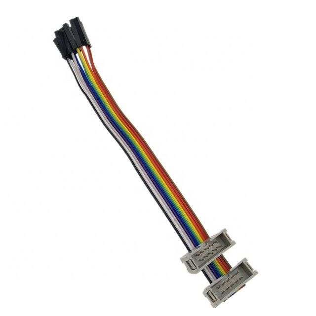 Connecteur mâle à douille IDC double 10 broches avec câble de dérivation plat ruban 2,54 mm plaqué or